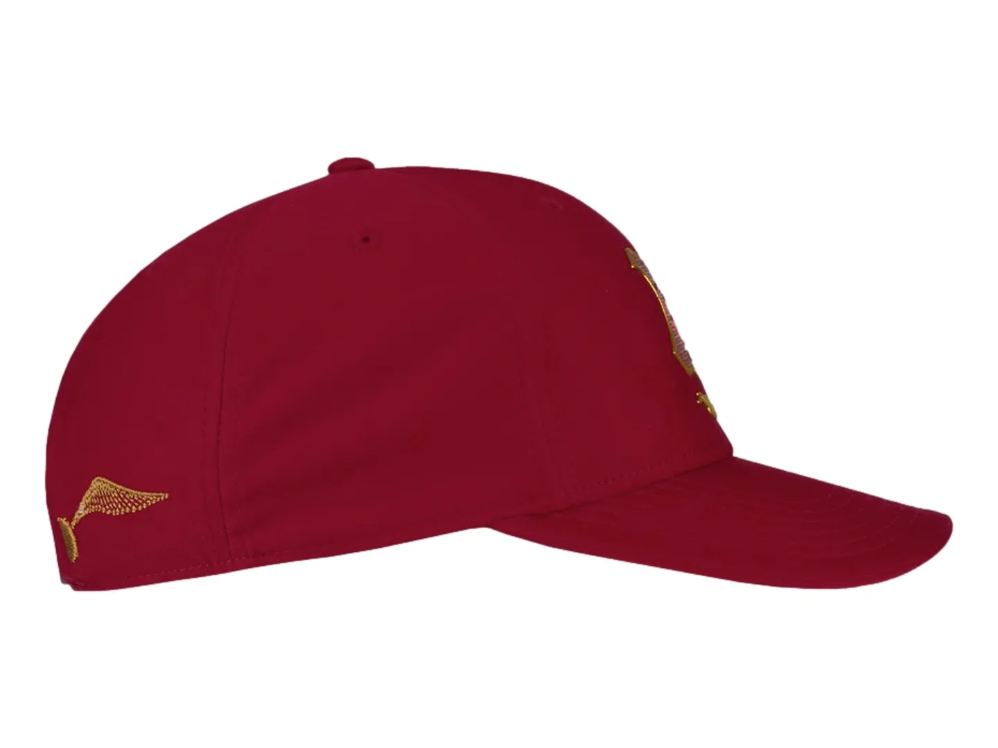 Gorra K-swiss Harry Potter Color Tinto